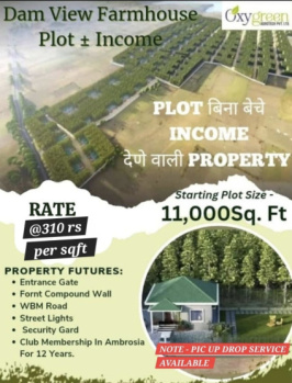  Agricultural Land for Sale in Ramtek, Nagpur