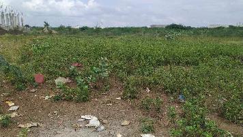  Agricultural Land for Sale in NH 44, Kurnool