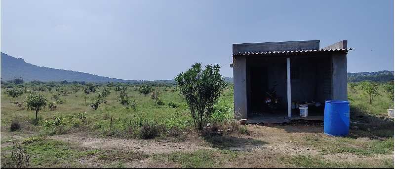  Agricultural Land 26 Acre for Sale in Gudur, Nellore