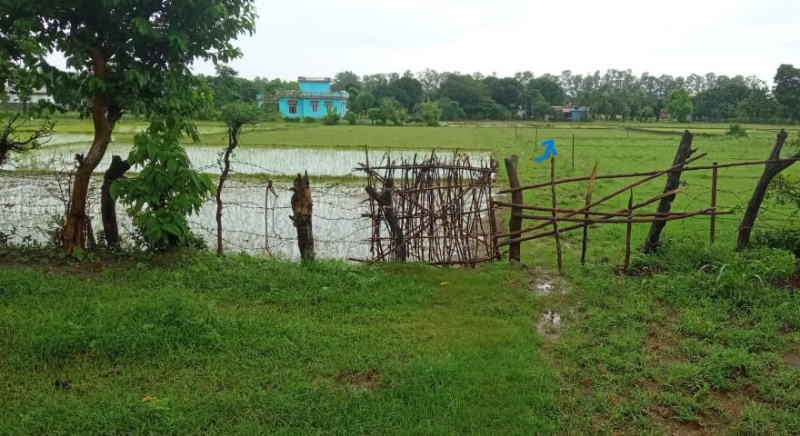  5 Biswa Residential Plot for Sale in Kotdwara, Pauri Garhwal