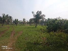 Industrial Land for Sale in Amalapuram, East Godavari