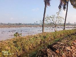  Agricultural Land for Sale in Kothapeta, East Godavari
