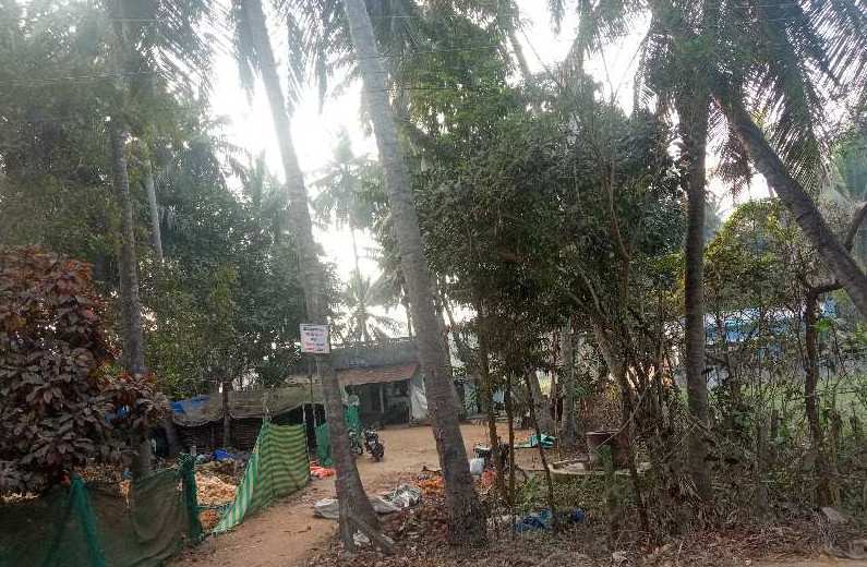 Residential Plot 97 Sq. Yards for Sale in Amalapuram, East Godavari