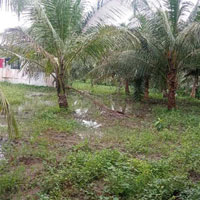 Commercial Land for Sale in Tatipaka, East Godavari