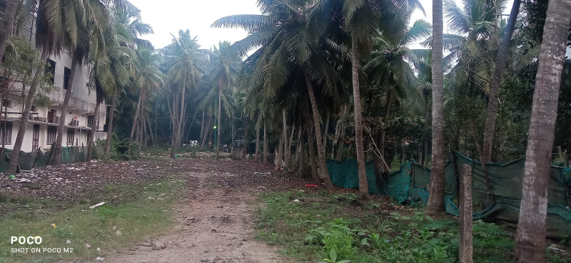 Agricultural Land 2 Acre for Sale in Mummidivaram, East Godavari