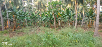  Agricultural Land for Sale in Amalapuram, East Godavari