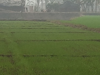  Residential Plot for Sale in Sonughat, Deoria