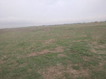  Residential Plot for Sale in Majhauli Raj, Deoria