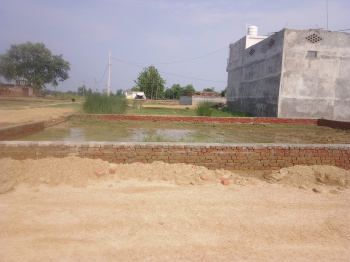  Residential Plot for Sale in Jangal Kauria, Gorakhpur