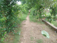  Residential Plot for Sale in Rajendra Nagar, Gorakhpur