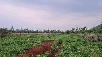  Industrial Land for Rent in Jagannathpur, Khordha