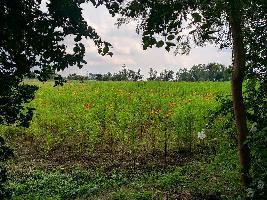  Agricultural Land for Sale in Berasia Road, Bhopal