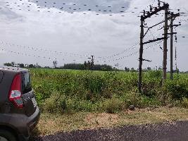  Agricultural Land for Sale in Tiruttani, Thiruvallur