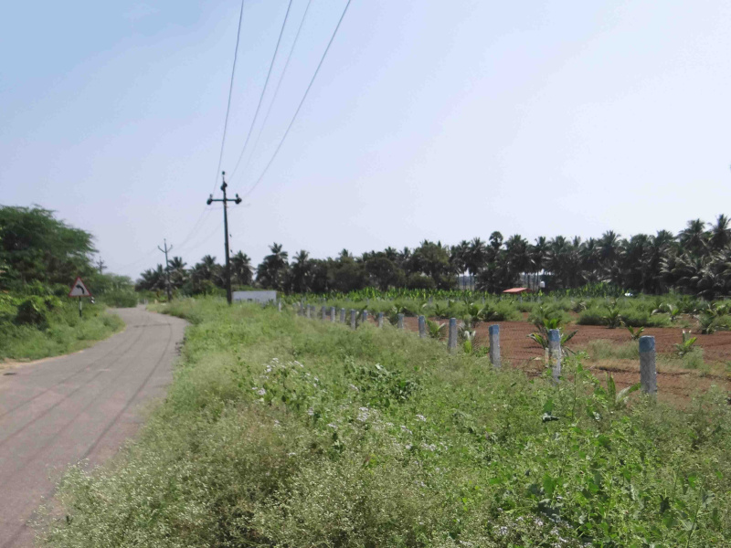  Agricultural Land 4 Acre for Sale in Kinathukadavu, Coimbatore