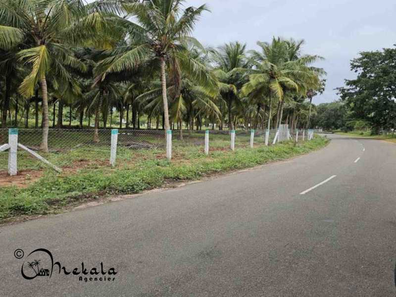  Agricultural Land 22 Acre for Sale in Kinathukadavu, Coimbatore