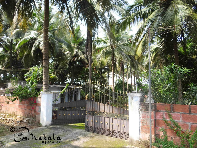  Agricultural Land 51 Cent for Sale in Madukkarai, Coimbatore