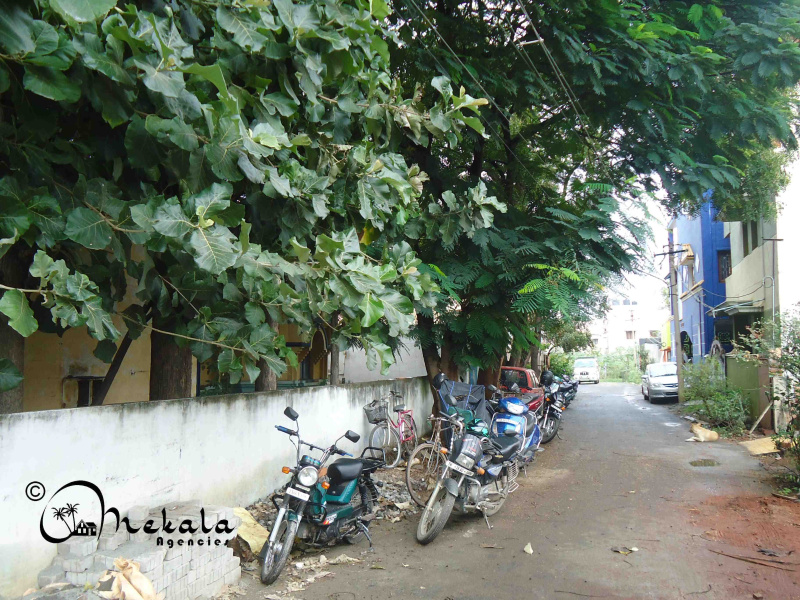 2 BHK House 4500 Sq.ft. for Sale in Ganapathi, Coimbatore