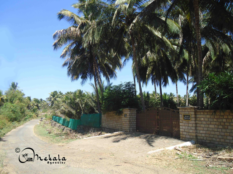  Agricultural Land 4 Acre for Sale in Pollachi, Coimbatore