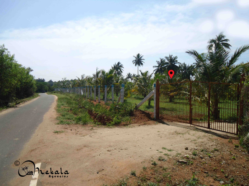  Agricultural Land 6 Acre for Sale in Thirumalayampalayam, Coimbatore