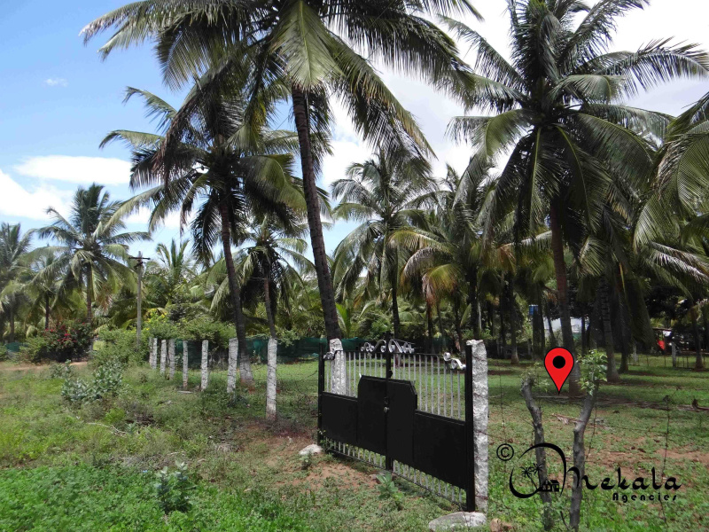  29 Cent Agricultural/Farm Land for Sale in Thondamuthur Road, Coimbatore