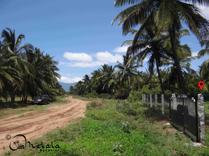  29 Cent Agricultural/Farm Land for Sale in Thondamuthur Road, Coimbatore