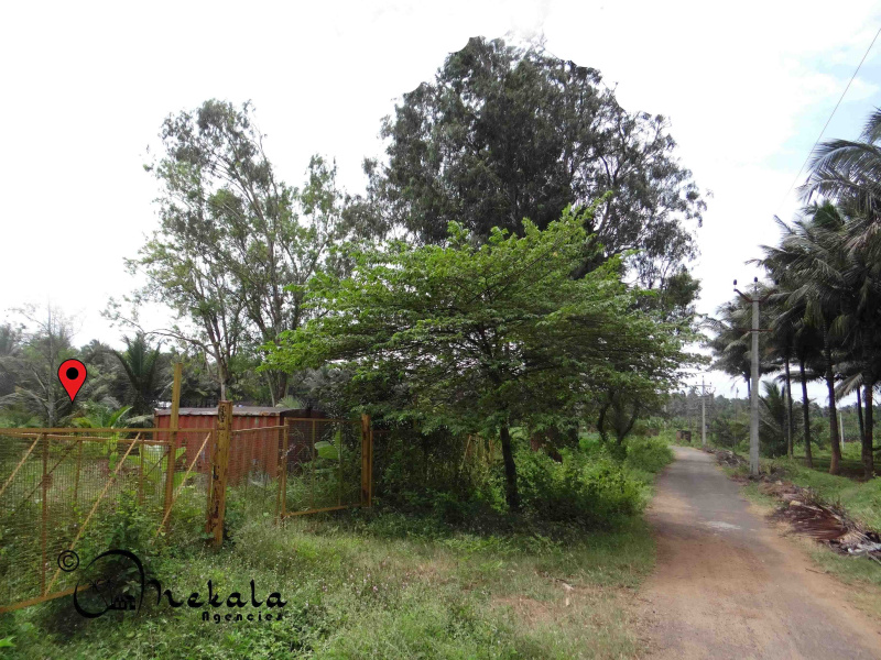  Agricultural Land 90 Cent for Sale in Nachipalayam, Coimbatore
