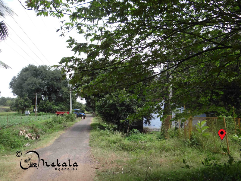  Agricultural Land 90 Cent for Sale in Nachipalayam, Coimbatore