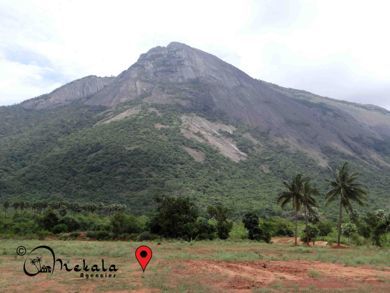  Agricultural Land 2 Acre for Sale in Ettimadai, Coimbatore