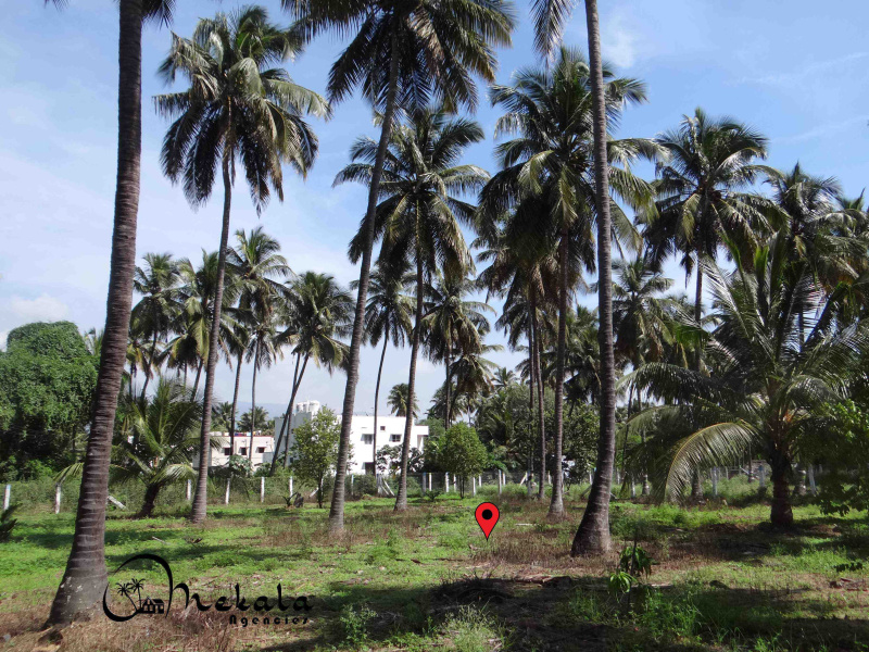  85 Cent Agricultural/Farm Land for Sale in Alandurai, Coimbatore