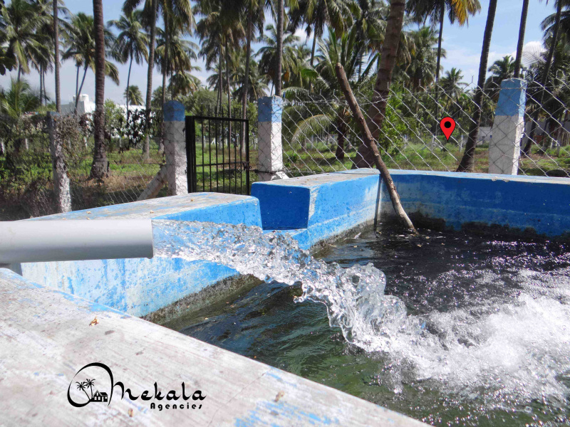  85 Cent Agricultural/Farm Land for Sale in Alandurai, Coimbatore