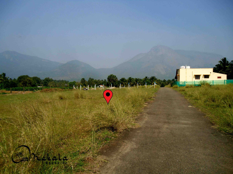  21 Cent Residential Plot for Sale in Ettimadai, Coimbatore