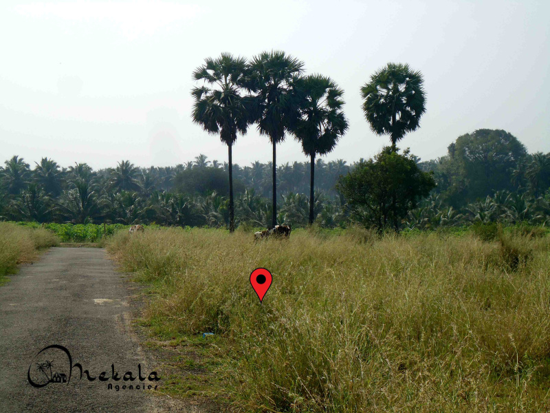  21 Cent Residential Plot for Sale in Ettimadai, Coimbatore