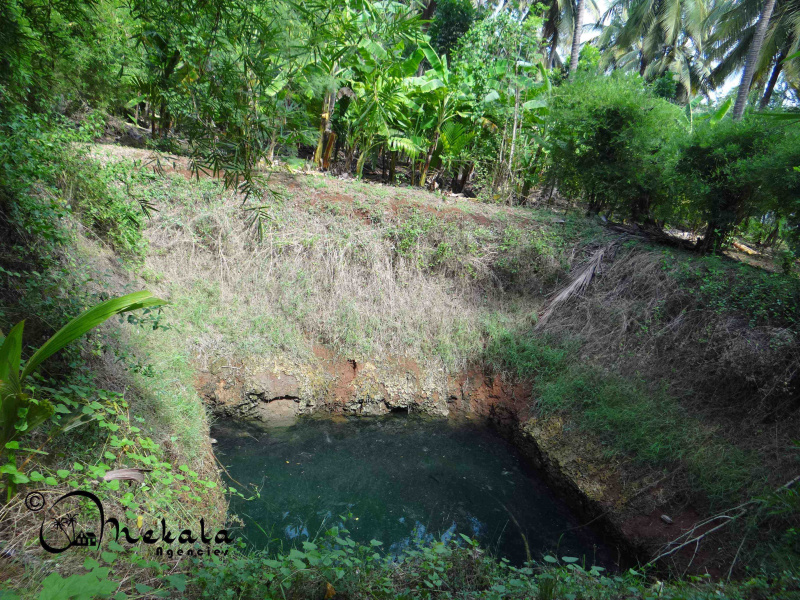  3 Acre Agricultural/Farm Land for Sale in Thirumalayampalayam, Coimbatore