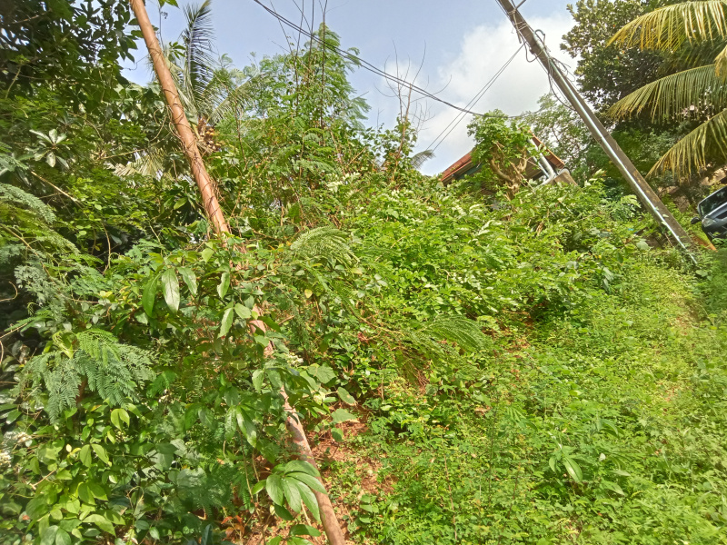  Residential Plot 4356 Sq.ft. for Sale in Bajal, Mangalore