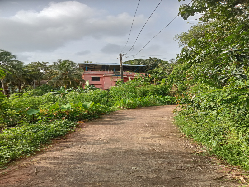  Residential Plot 4356 Sq.ft. for Sale in Bajal, Mangalore