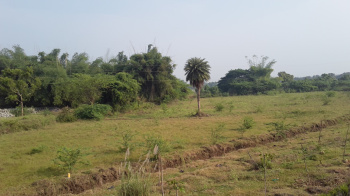 Agricultural Land for Sale in Papanasam, Thanjavur