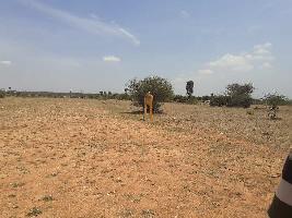  Commercial Land for Sale in Manavasi, Karur