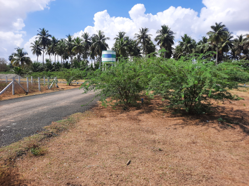  Residential Plot 1800 Sq.ft. for Sale in Aranthangi, Pudukkottai