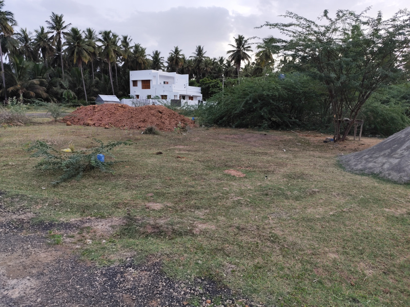  Residential Plot 1800 Sq.ft. for Sale in Aranthangi, Pudukkottai