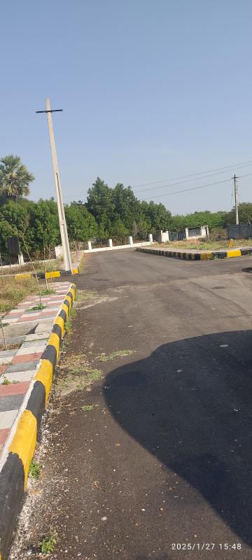  Residential Plot 183 Sq. Yards for Sale in Mamnoor, Warangal