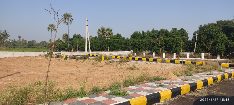  Residential Plot 183 Sq. Yards for Sale in Mamnoor, Warangal