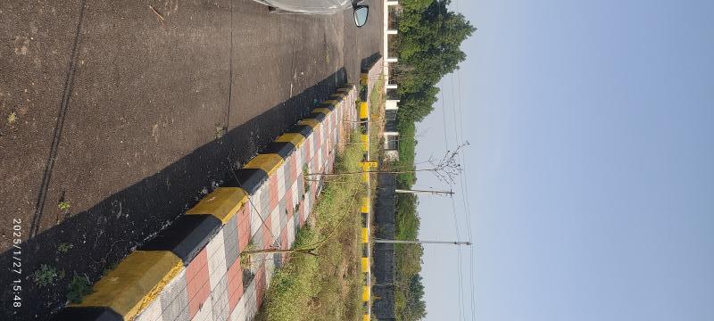  Residential Plot 183 Sq. Yards for Sale in Mamnoor, Warangal