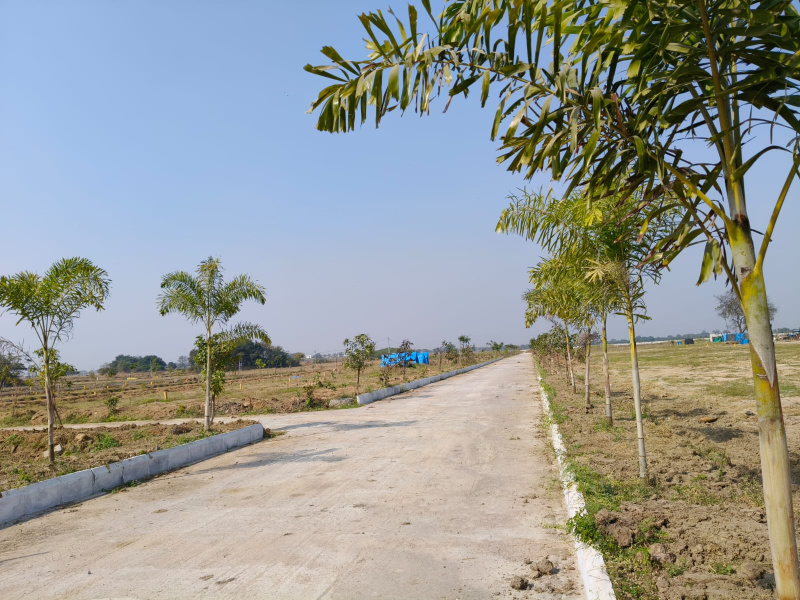  150 Sq. Yards Residential Plot for Sale in Rudraram, Hyderabad