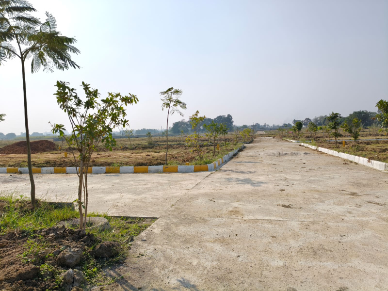  150 Sq. Yards Residential Plot for Sale in Rudraram, Hyderabad