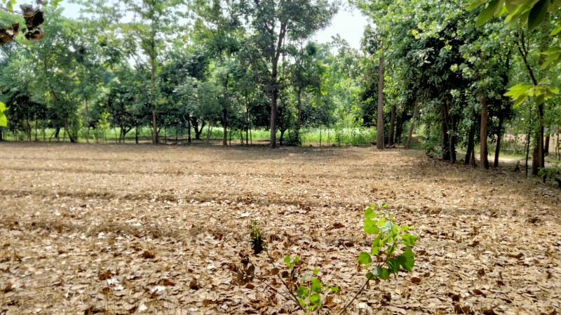 Agricultural Land 3 Bigha for Sale in Chhutmalpur, Saharanpur