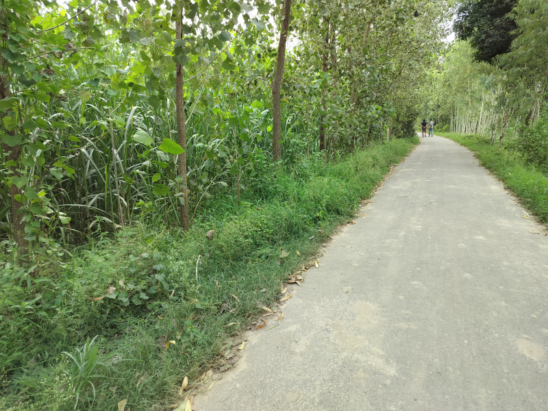  Agricultural Land 7 Bigha for Sale in Biharigarh, Dehradun