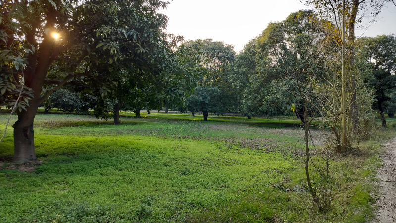  Agricultural Land 20 Bigha for Sale in Biharigarh, Dehradun