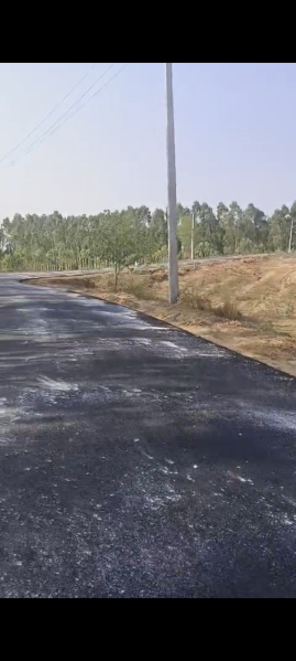  Agricultural Land 21 Bigha for Sale in Biharigarh, Dehradun