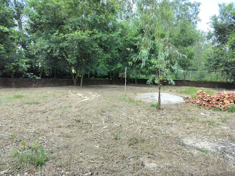  200 Sq. Yards Residential Plot for Sale in Biharigarh, Dehradun