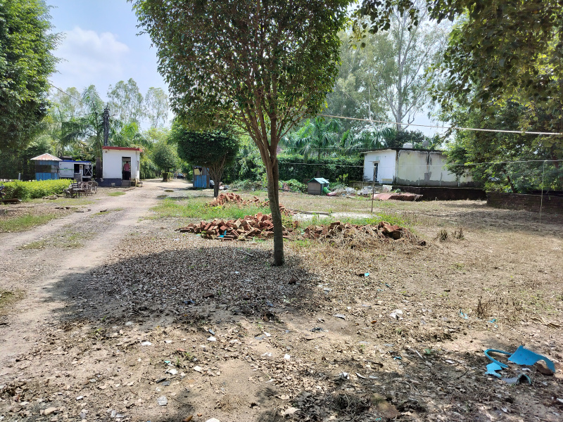  200 Sq. Yards Residential Plot for Sale in Biharigarh, Dehradun